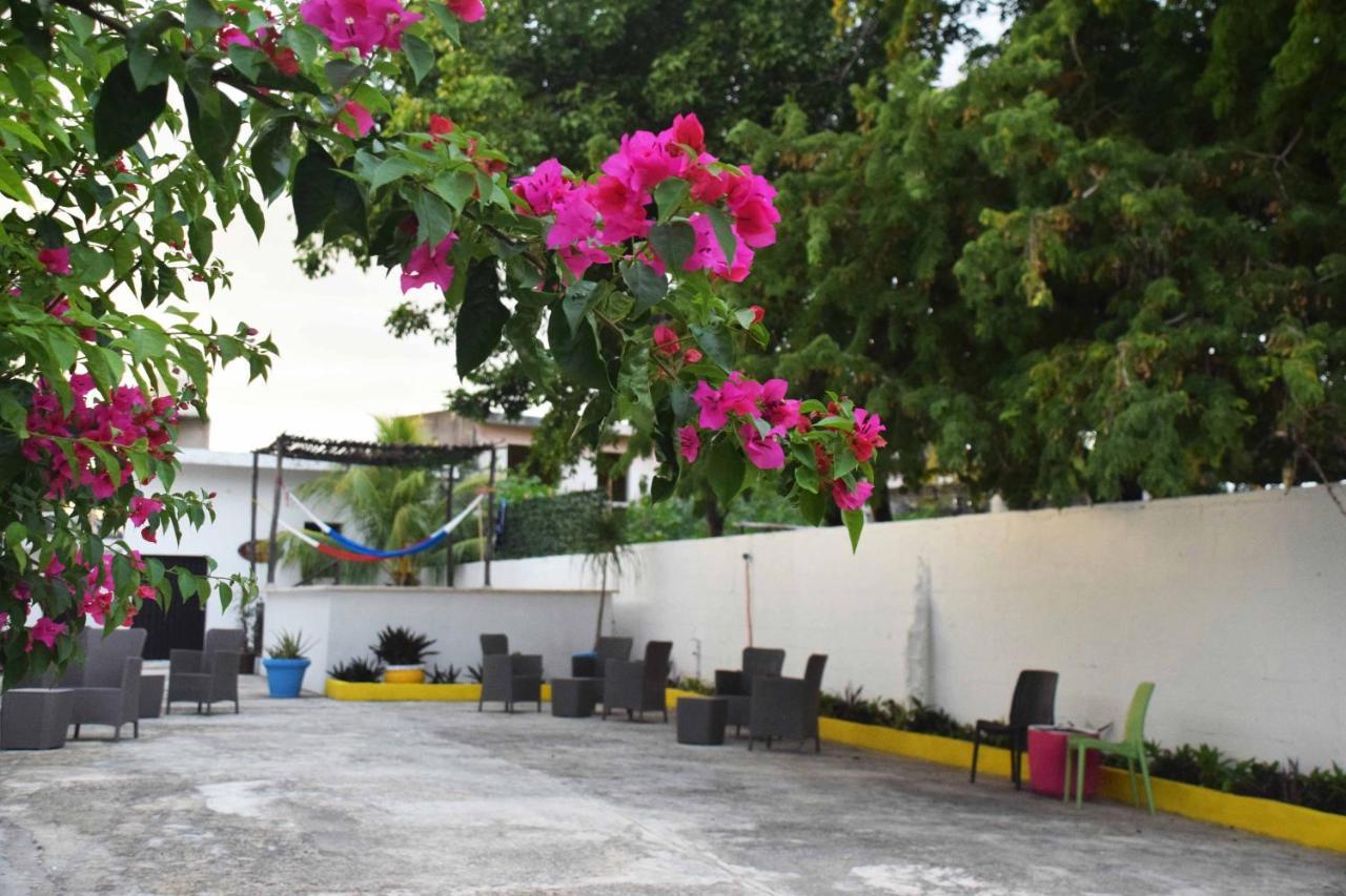 Hostal Casa Bohemia เมริดา ภายนอก รูปภาพ